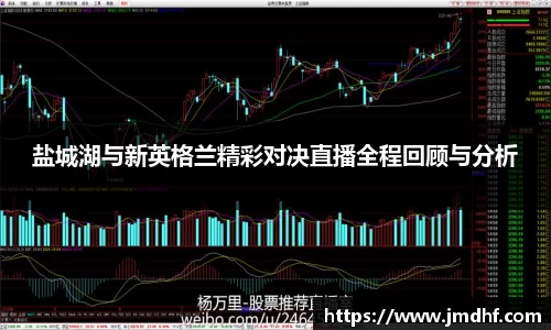 盐城湖与新英格兰精彩对决直播全程回顾与分析